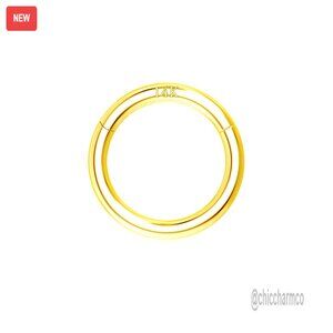 14K Solid Gold 16G 6mm Hinged Seamless Hoop Piercing Jewelry